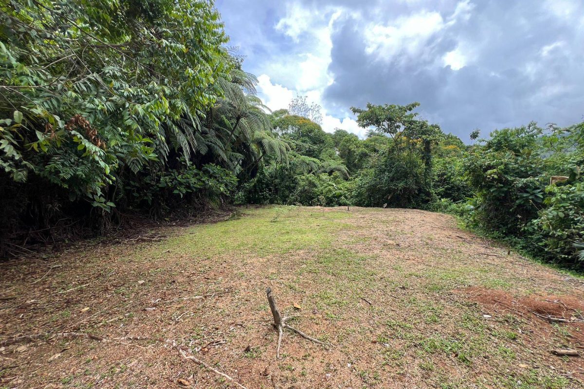 RealEstate_TierrasMorenasLot_3_3_11zon