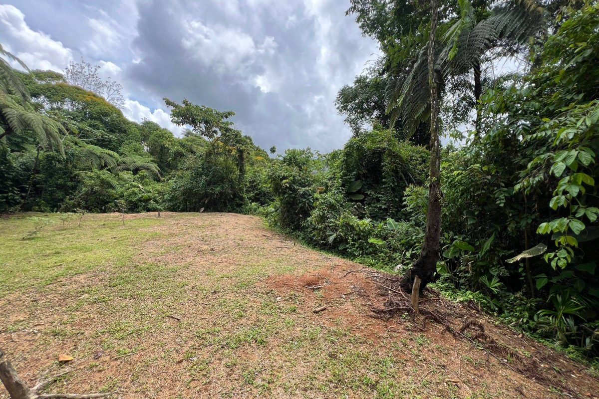 RealEstate_TierrasMorenasLot_7_7_11zon
