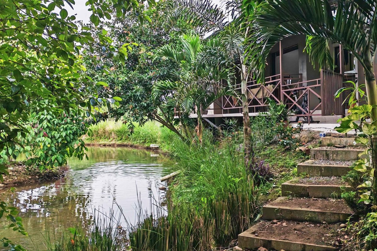 Real_Estate-Casa-con-Rio-y-Lago-Danny-el-Bosque-10_2_11zon