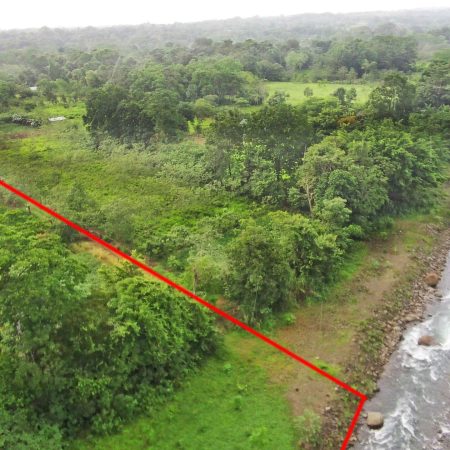 Real_Estate-Finca-1HA-Enivin-La-Tigra-1_1_11zon