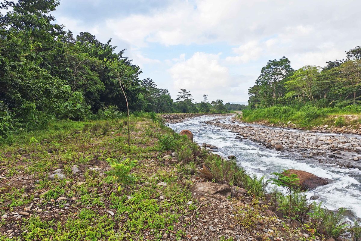 Real_Estate-Finca-1HA-Enivin-La-Tigra-9_9_11zon