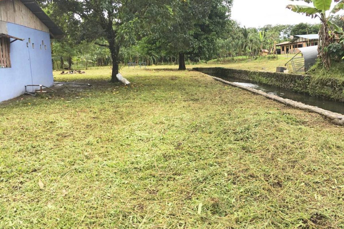 Real_Estate Propiedad La Vega (4a)