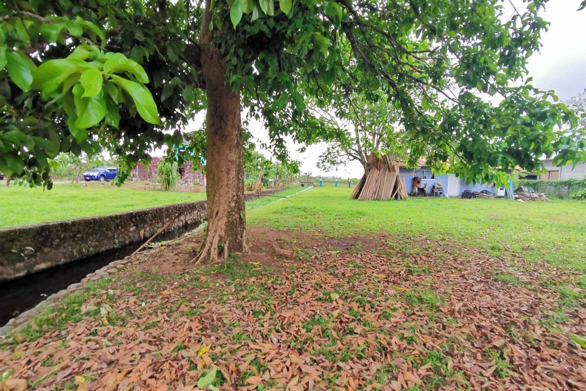 Real_Estate Propiedad La Vega (8)_4_11zon