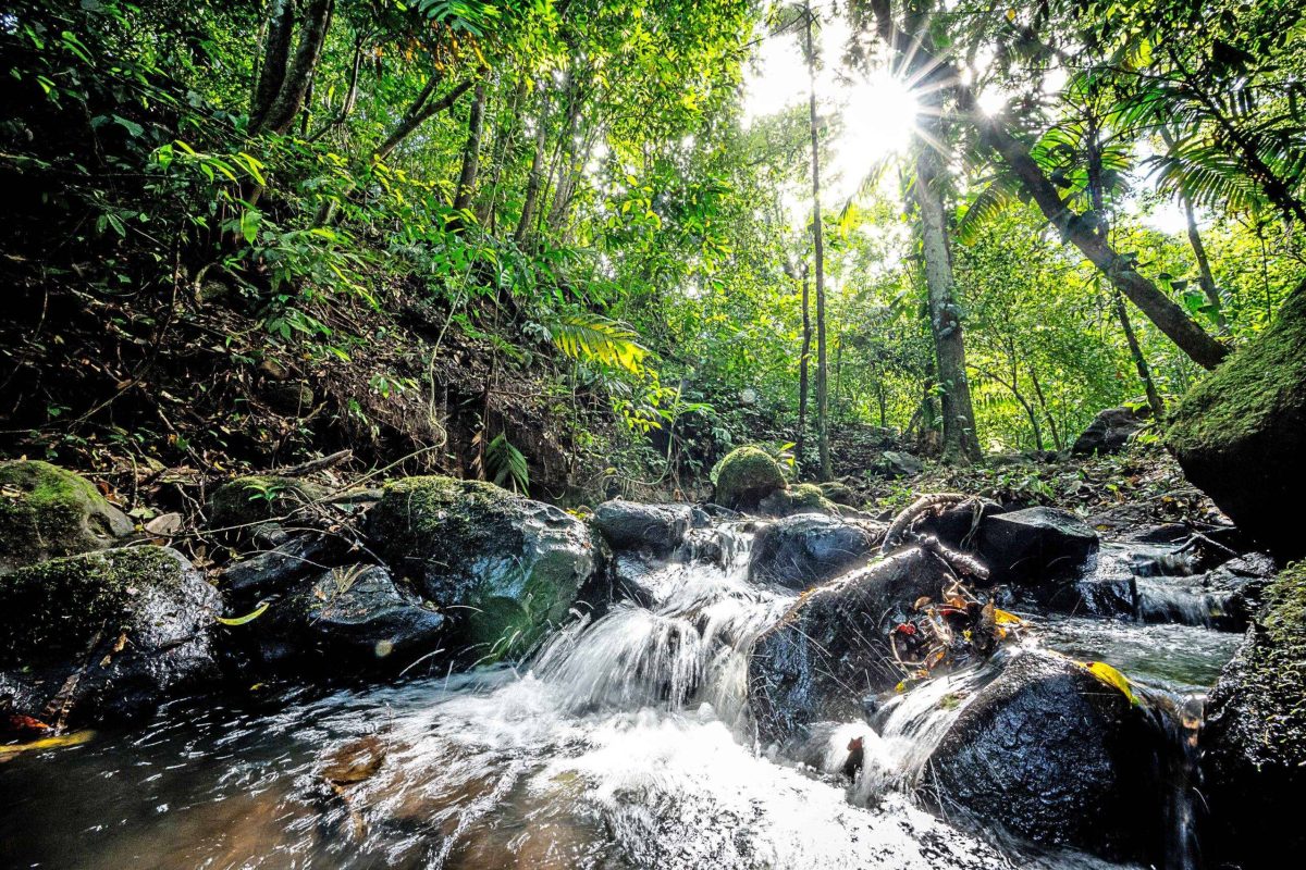 Real_Estate_ Casa Tilaran Shanti (6)_6_11zon