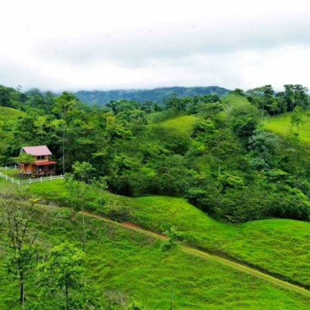 Real_Estate_Finca_Rony_San_Gregado (1)