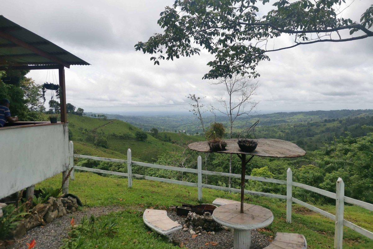 Real_Estate_Finca_Rony_San_Gregado (10)_10_11zon