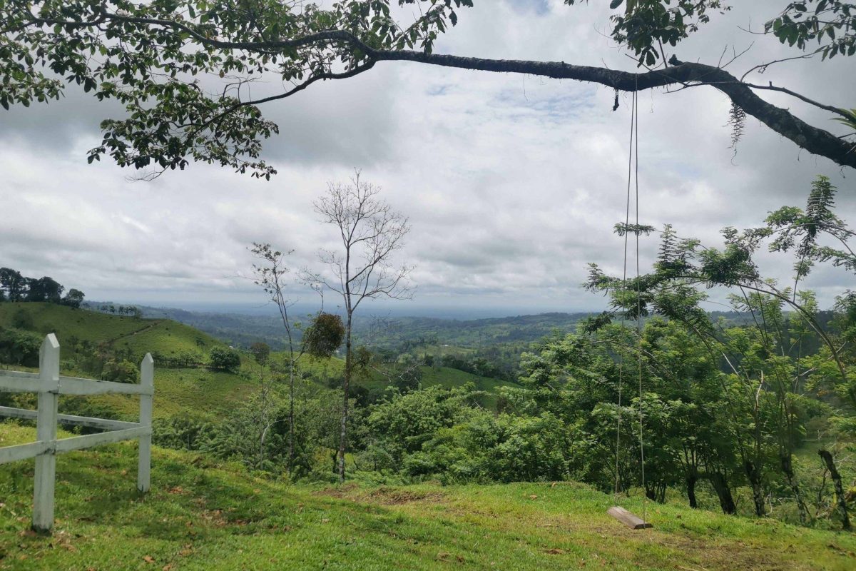 Real_Estate_Finca_Rony_San_Gregado (11)_11_11zon