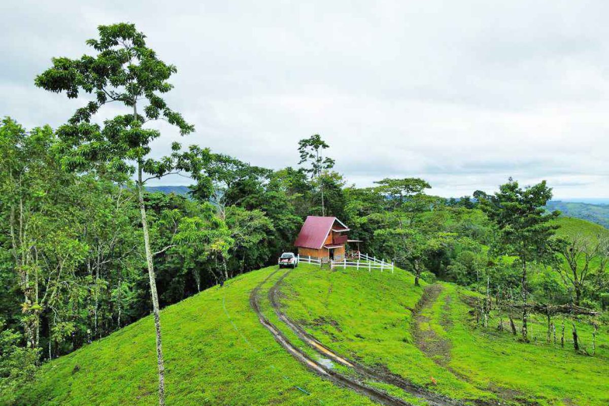 Real_Estate_Finca_Rony_San_Gregado (2)_2_11zon