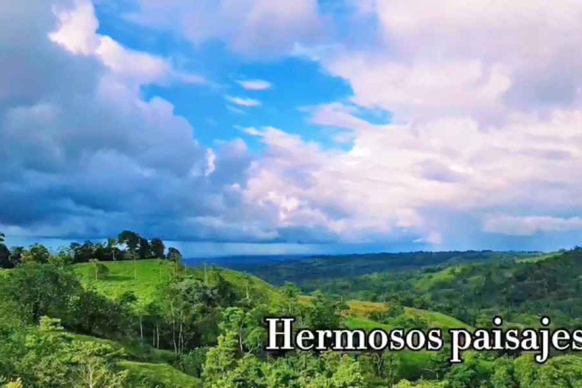 Real_Estate_Finca_Rony_San_Gregado (5)_5_11zon
