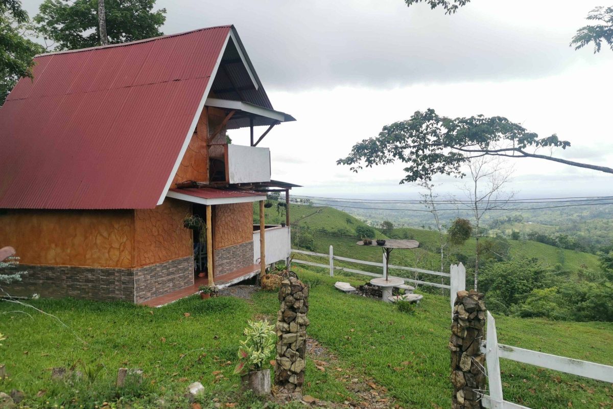 Real_Estate_Finca_Rony_San_Gregado (8)_8_11zon