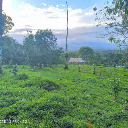 Real_Estate_Lote-Lender-Bajo-Rodriguez-1_1_11zon