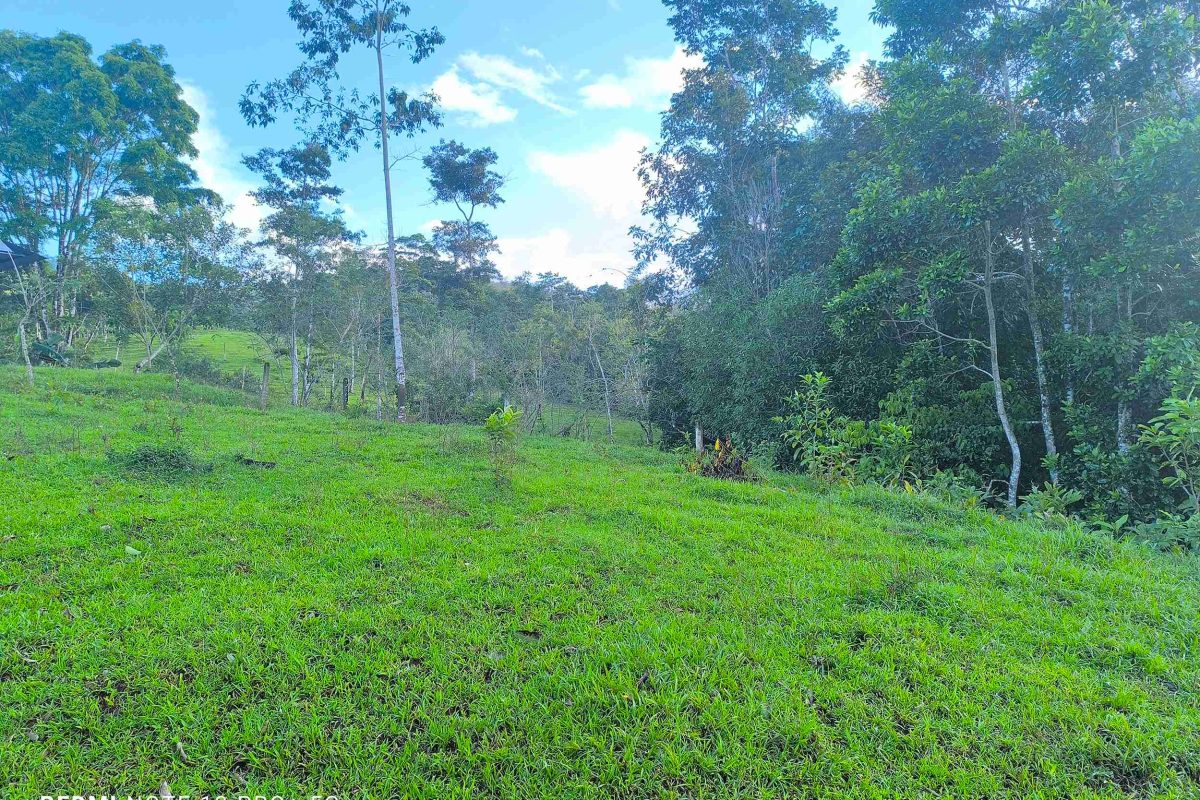 Real_Estate_Lote-Lender-Bajo-Rodriguez-5_5_11zon