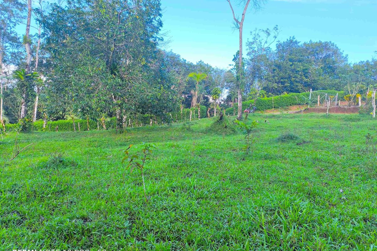 Real_Estate_Lote-Lender-Bajo-Rodriguez-6_6_11zon