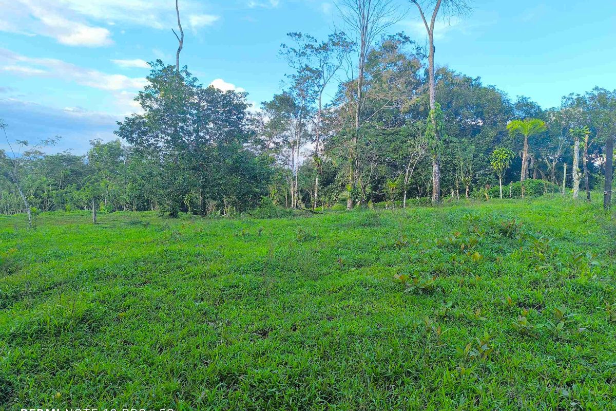 Real_Estate_Lote-Lender-Bajo-Rodriguez-7_7_11zon