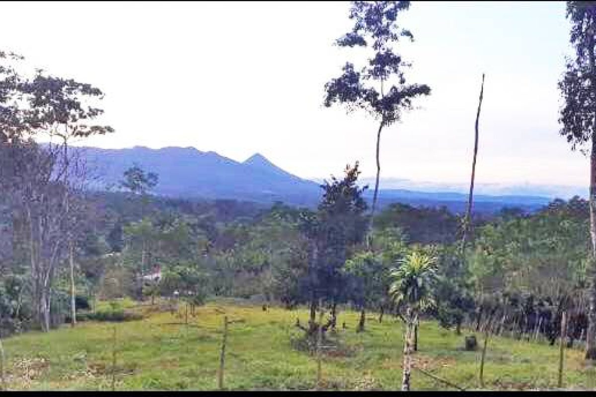 Real_Estate_Lote-Lender-Bajo-Rodriguez-8_8_11zon