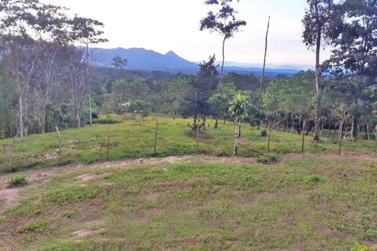 Real_Estate_Lote-Lender-Bajo-Rodriguez-9_9_11zon