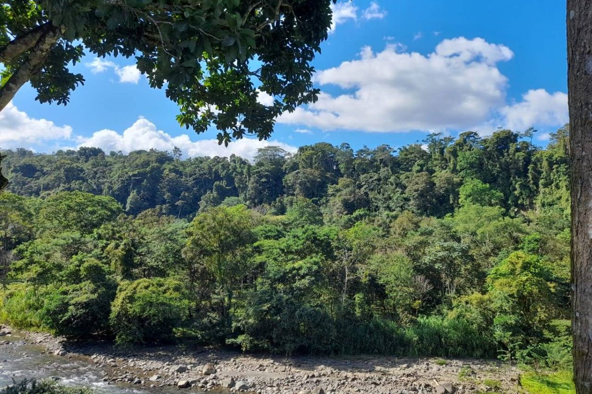 Real_Estate_Quinta_Adrubal_Cruce_La_Tigra (16)