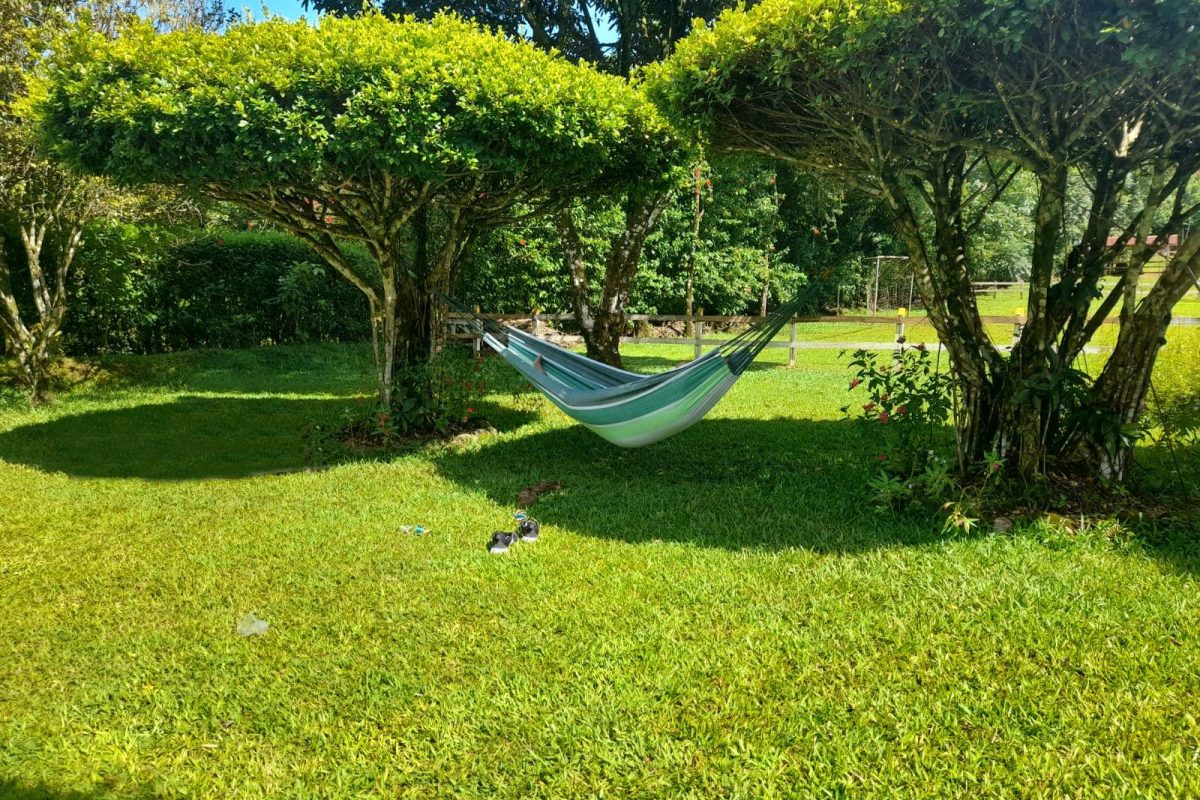 Real_Estate_Quinta_Adrubal_Cruce_La_Tigra (17)