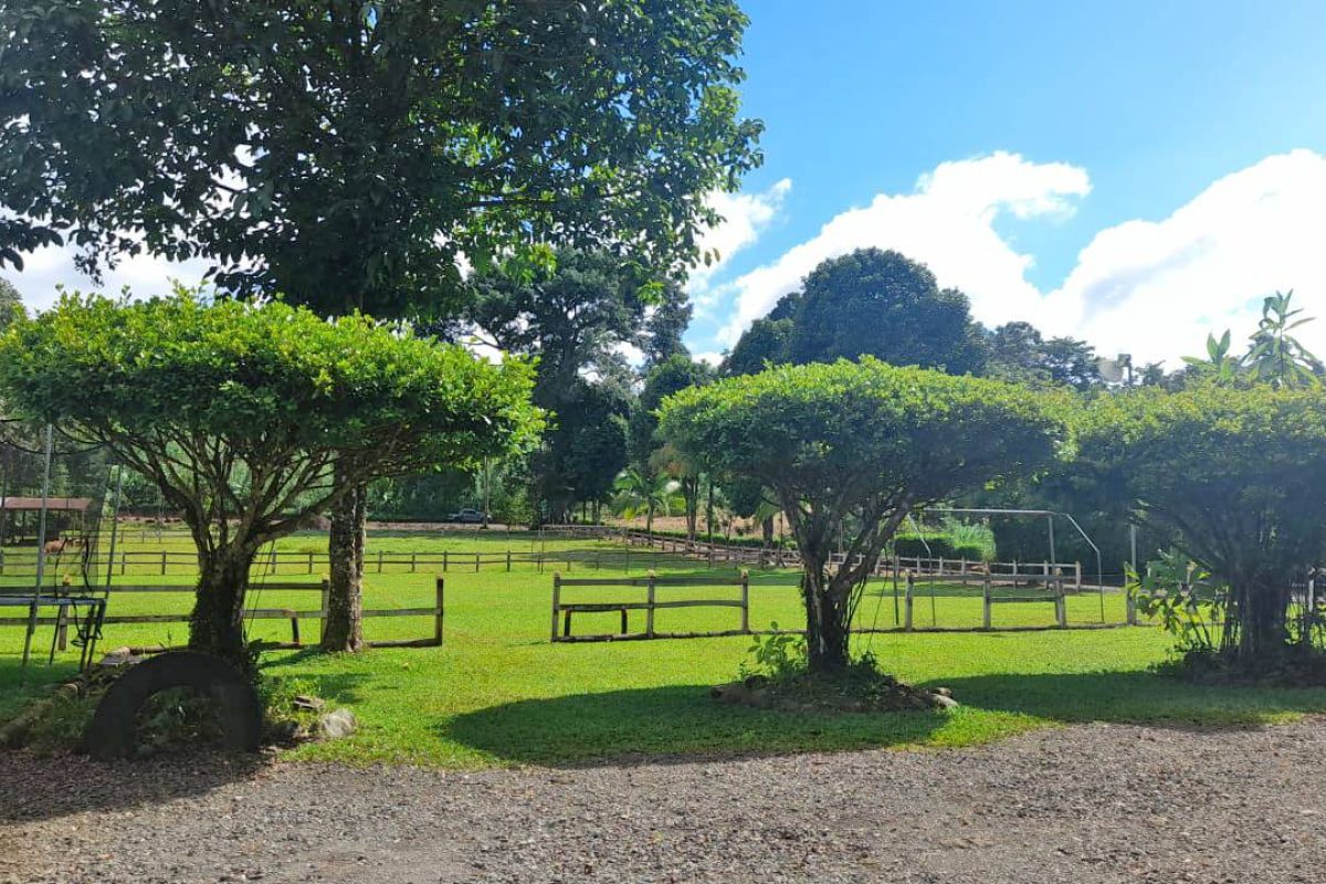 Real_Estate_Quinta_Adrubal_Cruce_La_Tigra (2)