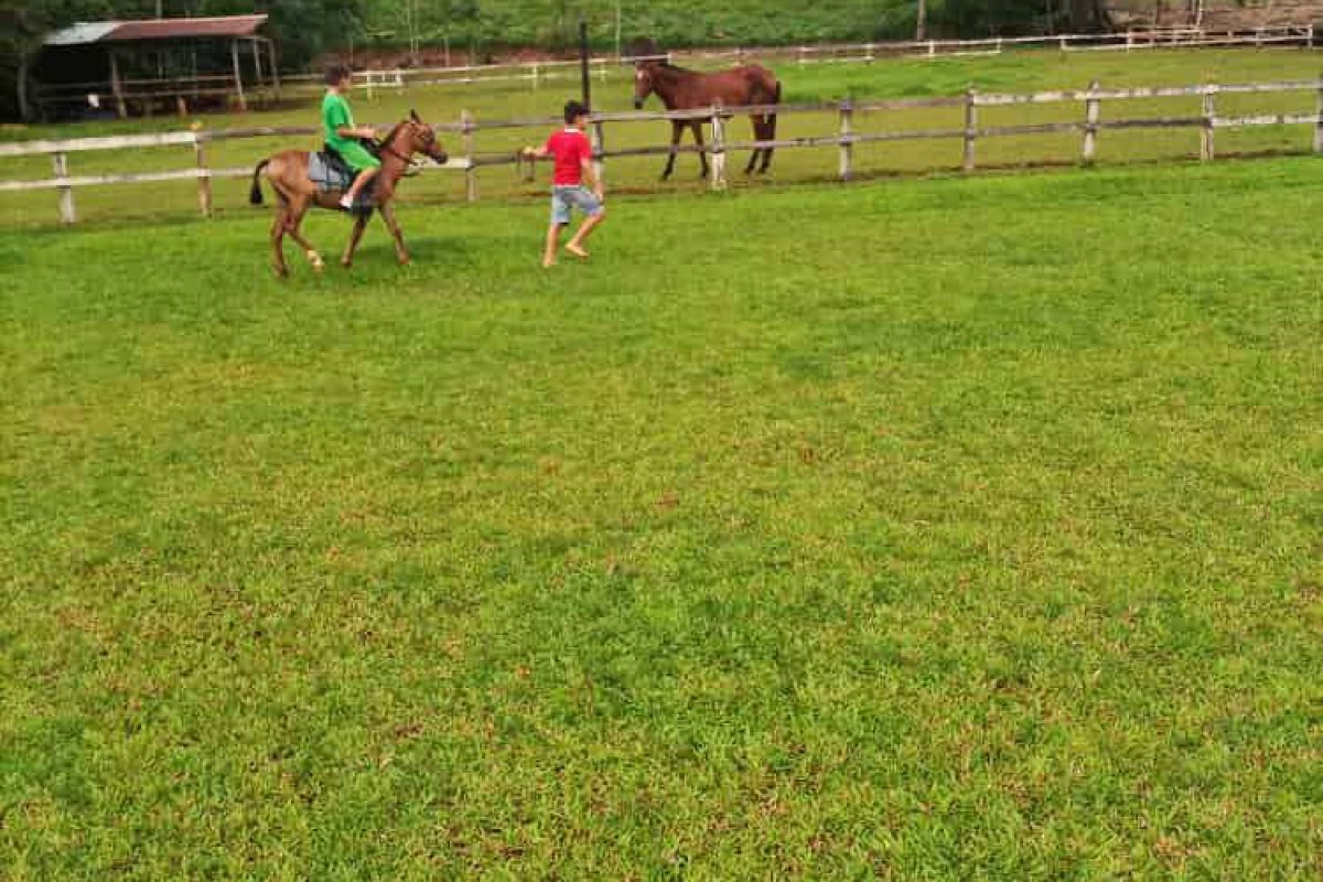 Real_Estate_Quinta_Adrubal_Cruce_La_Tigra (3)