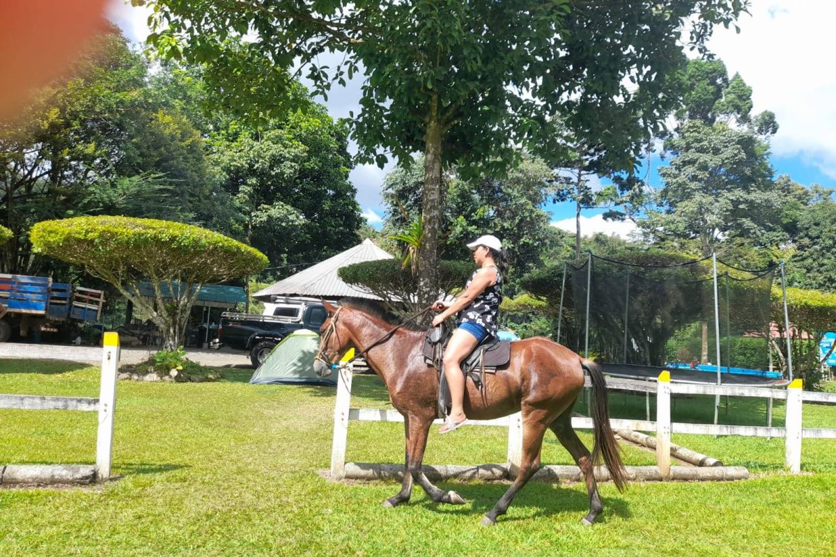 Real_Estate_Quinta_Adrubal_Cruce_La_Tigra (4)