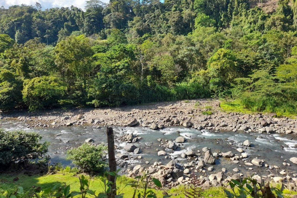 Real_Estate_Quinta_Adrubal_Cruce_La_Tigra (5)