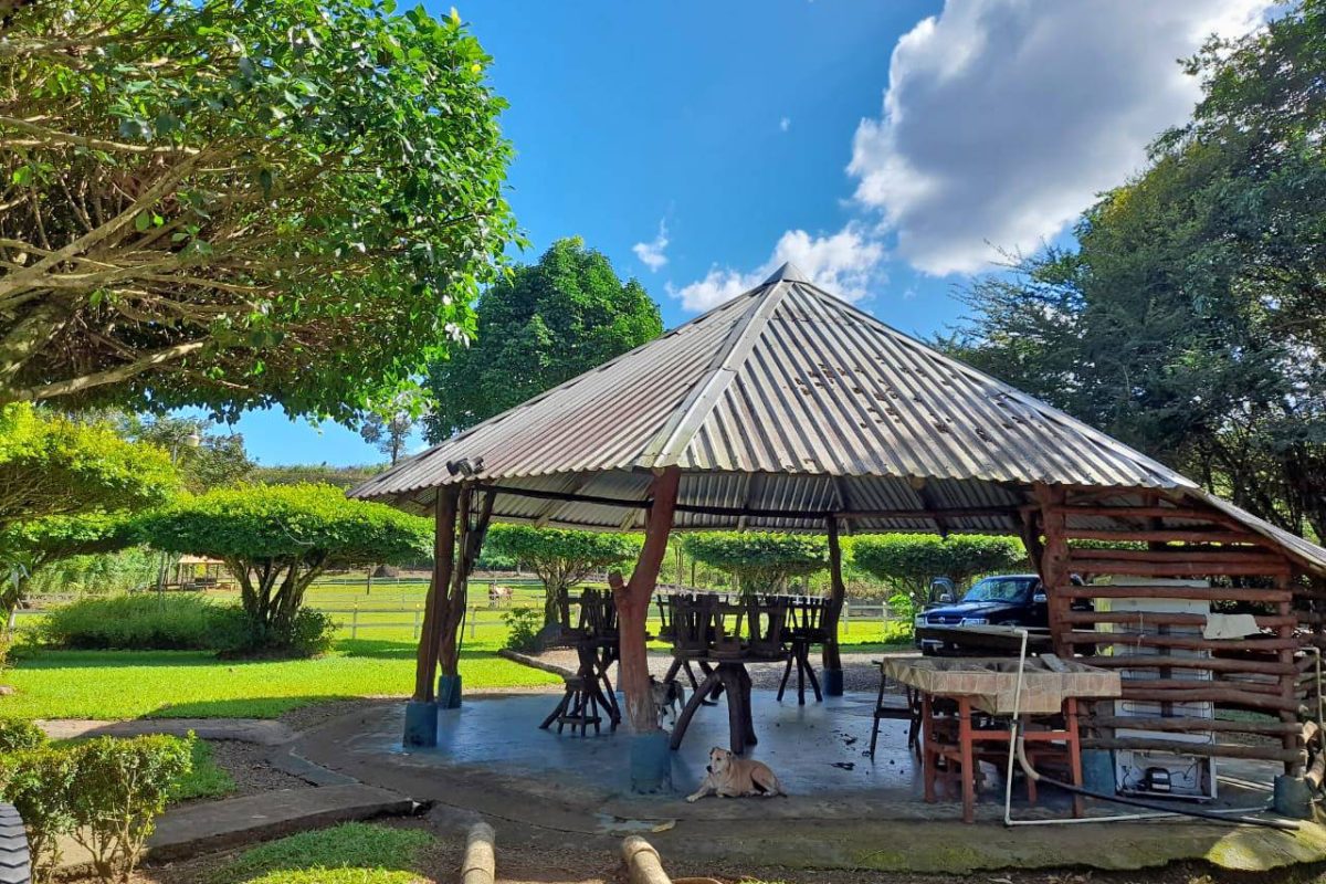 Real_Estate_Quinta_Adrubal_Cruce_La_Tigra (9)