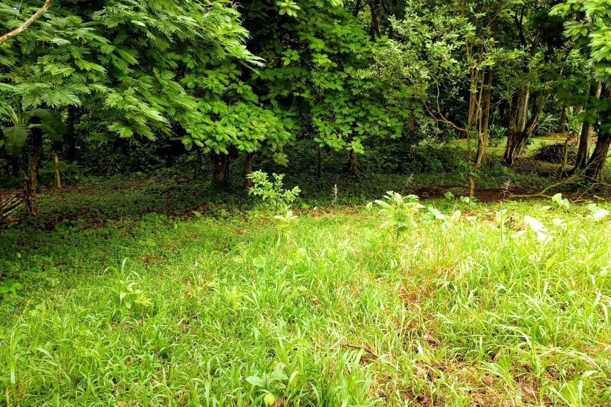 Real_estate_106399_20