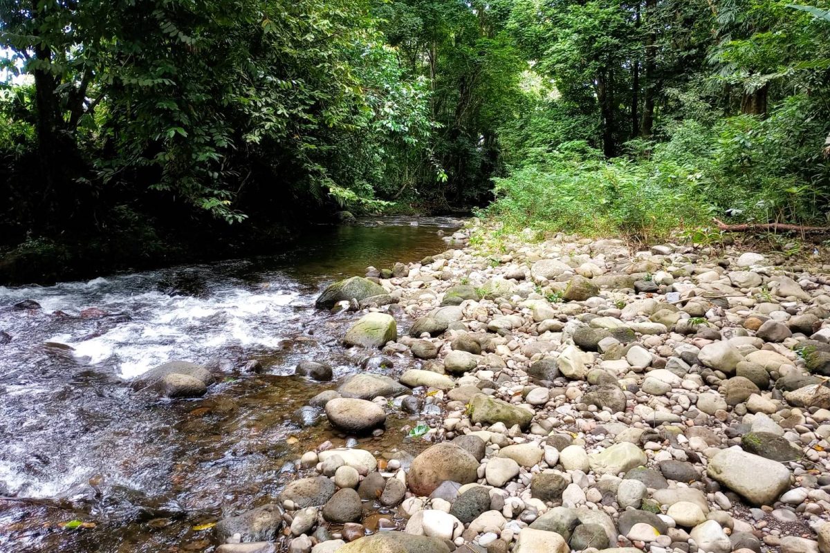 Real_estate_106399_22