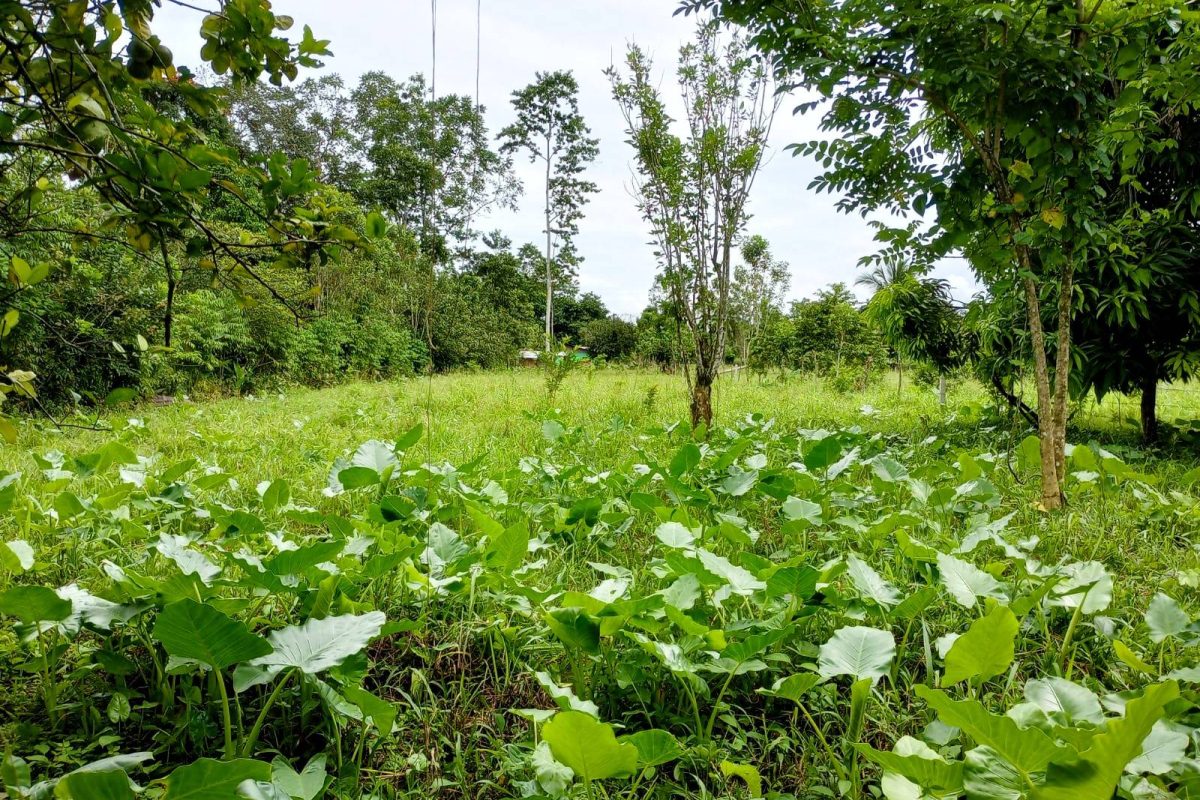 Real_estate_106399_23