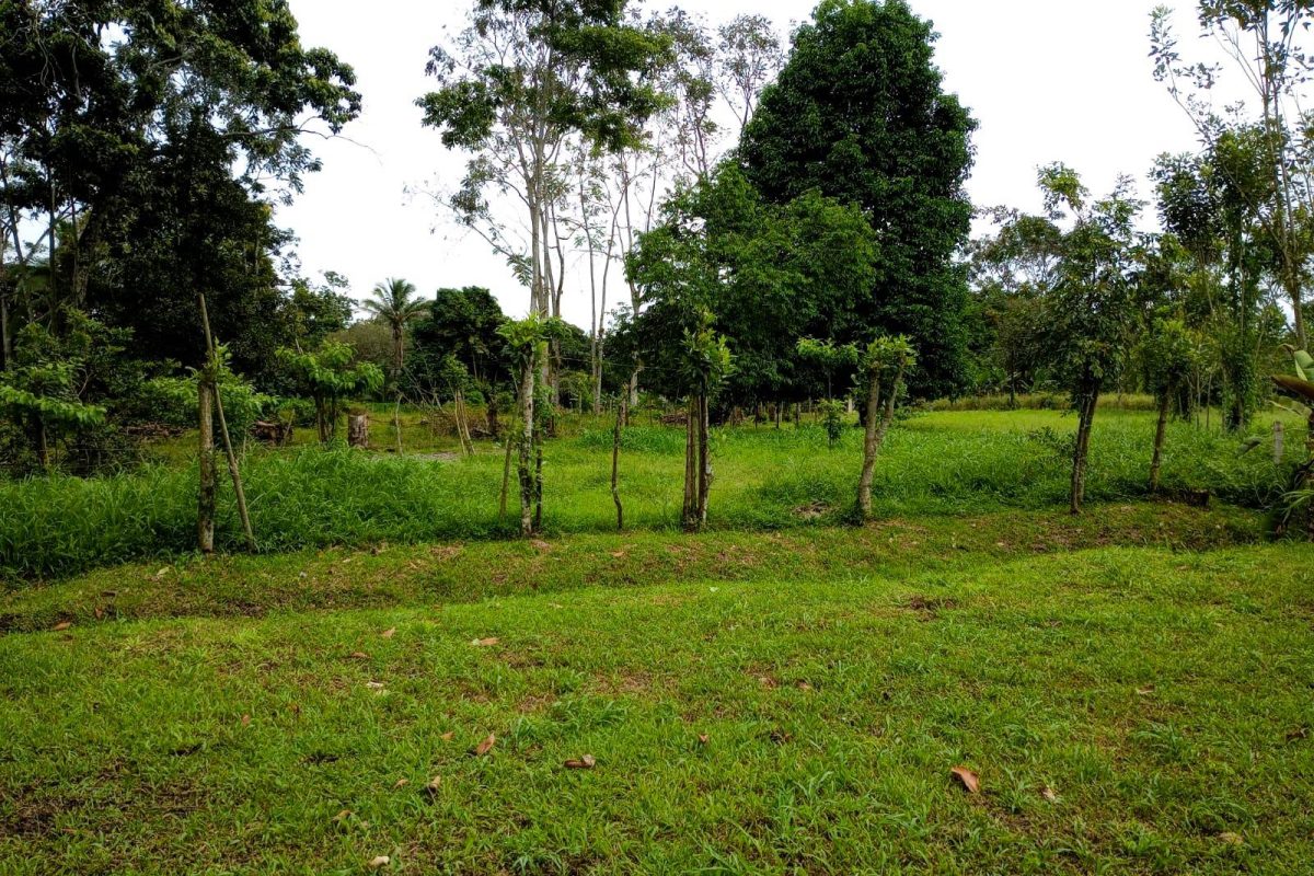 Real_estate_106399_25