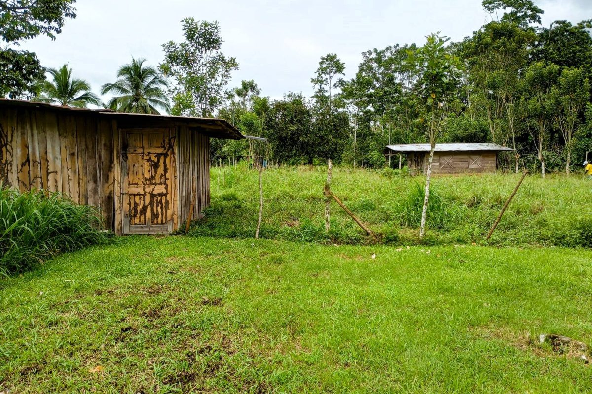 Real_estate_106399_4