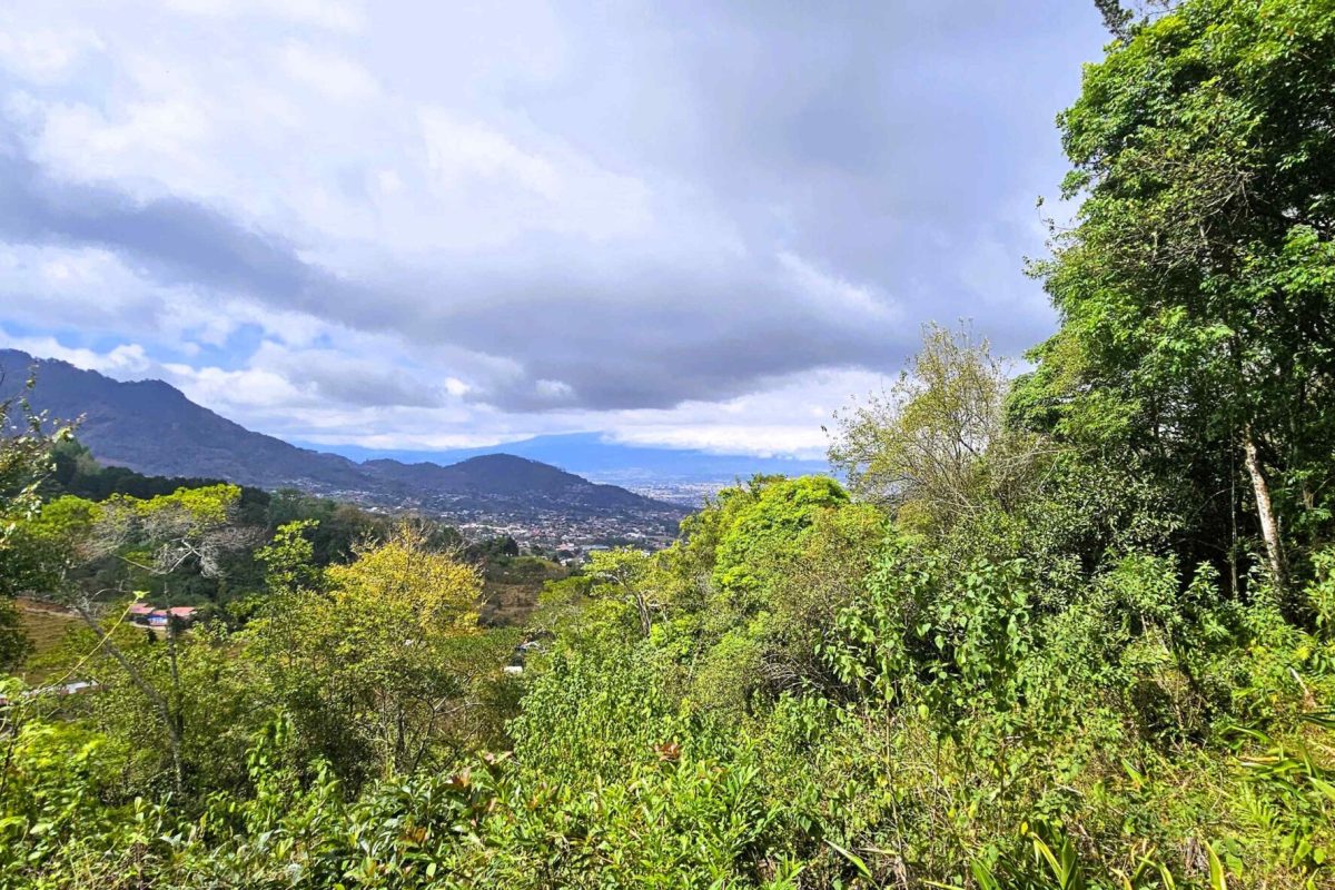 Real_estate_218013_14_15_11zon