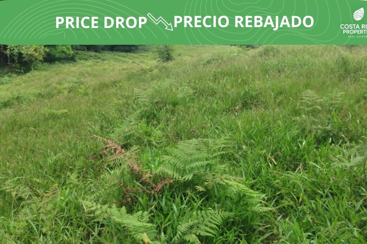 Real_state_107703_1_PriceDrop