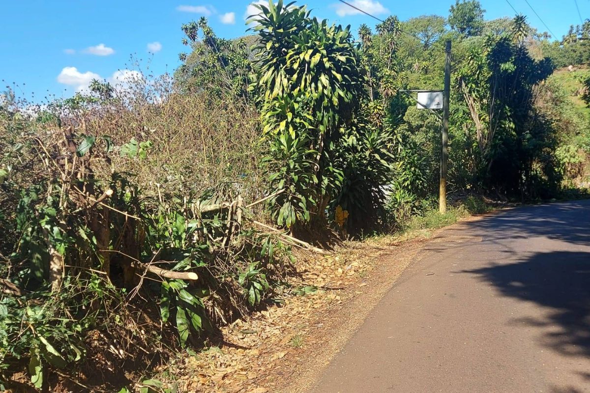 RealesState_GreciaLandRadial_3