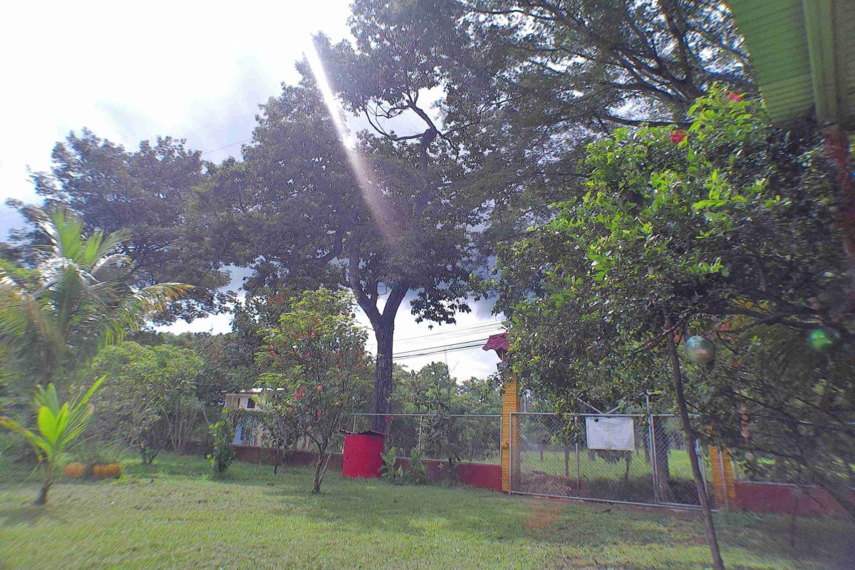 Realestate_478652 _6_6_11zon