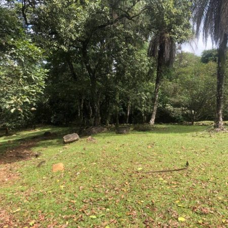 SE_VENDE_EN_OROTINA_FINCA (8)