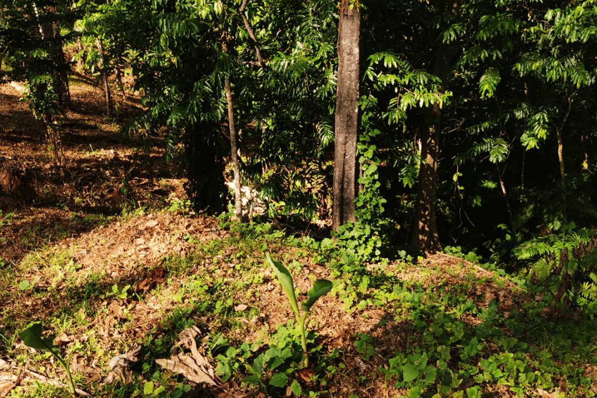 Slide4