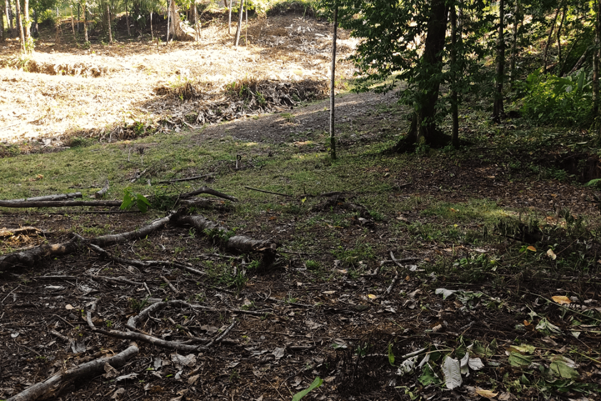 Slide8