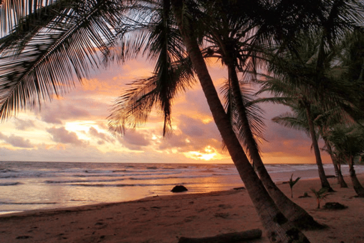 Sonnenuntergang-PLaya-GRande