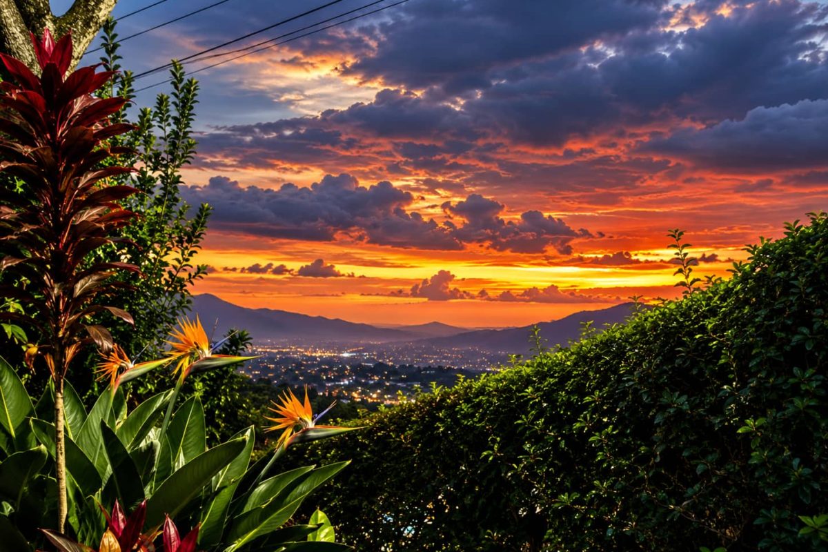 Vista-en-la-tarde