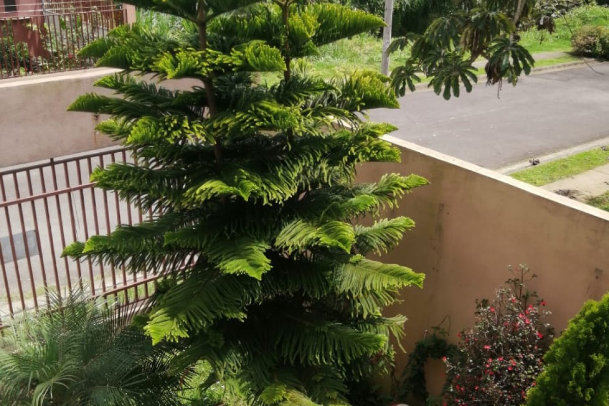 WhatsApp Image 2021-05-16 at 12.50.05 PM-9feb204c