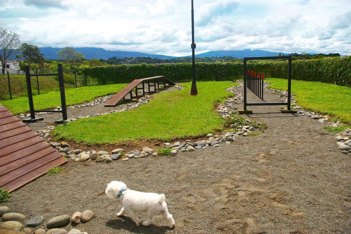 WhatsApp Image 2021-09-30 at 7.09.09 PM (1)-2183c389