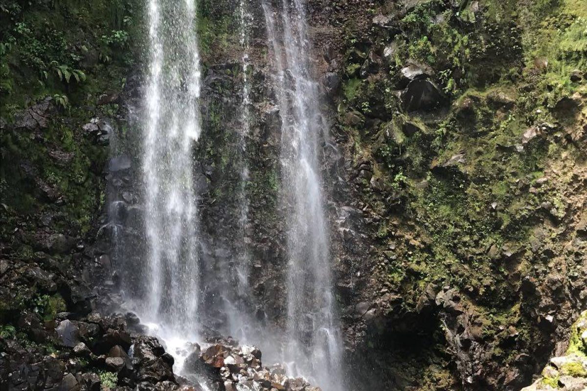 SE VENDE HERMOSA FINCA EN SANTA CRUZ DE TURRIALBA, CARTAGO.: EN EL SECTOR DE BONILLA ARRIBA