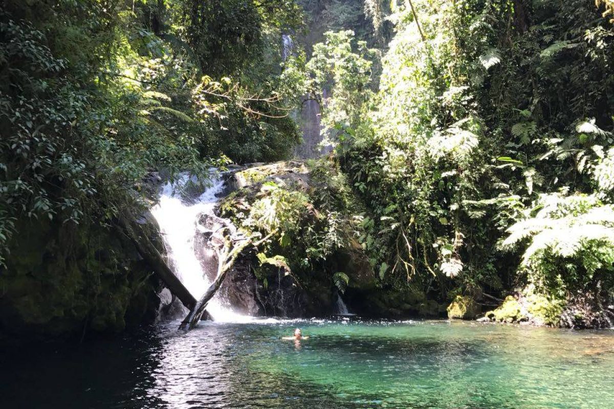 SE VENDE HERMOSA FINCA EN SANTA CRUZ DE TURRIALBA, CARTAGO.: EN EL SECTOR DE BONILLA ARRIBA