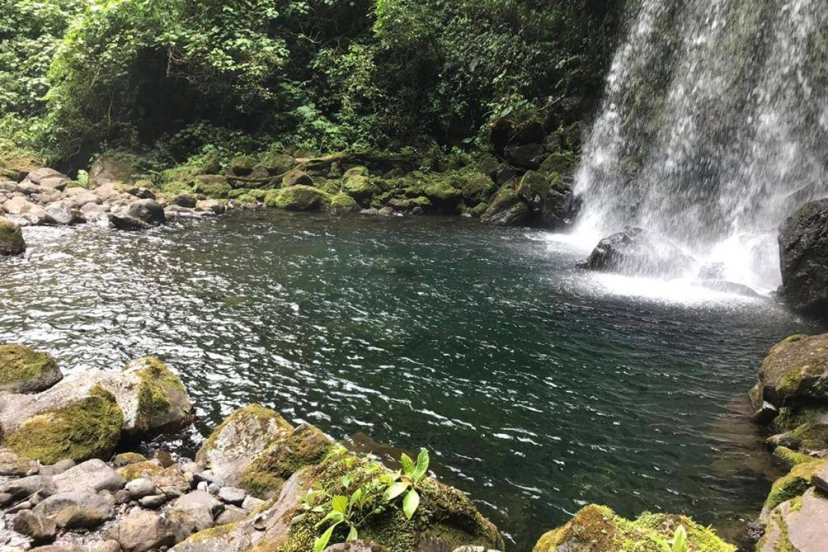SE VENDE HERMOSA FINCA EN SANTA CRUZ DE TURRIALBA, CARTAGO.: EN EL SECTOR DE BONILLA ARRIBA