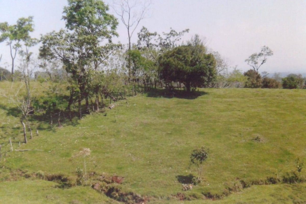 WhatsApp-Image-2022-04-01-at-7.13.06-PM-2