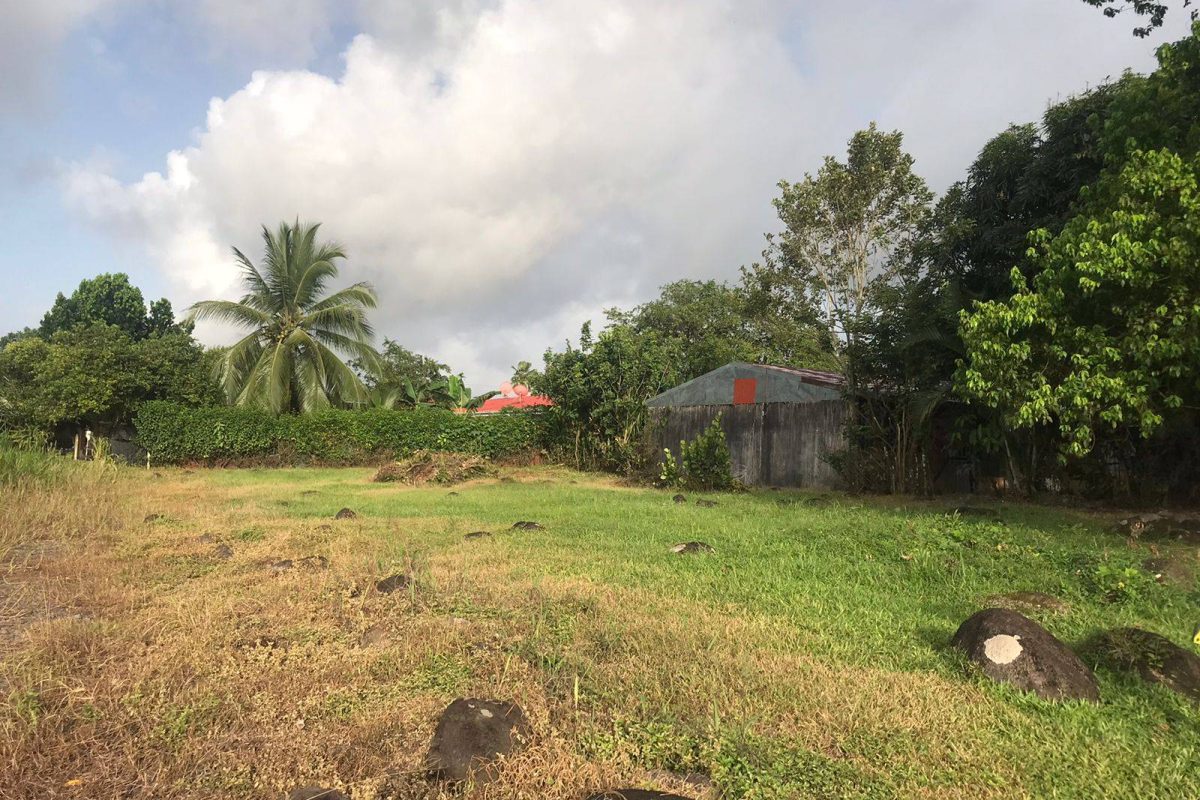 WhatsApp Image 2022-07-20 at 9.51.23 PM