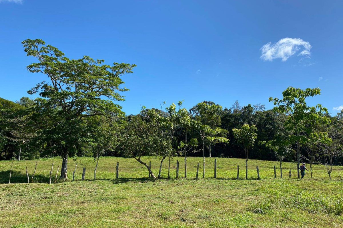 WhatsApp Image 2023-02-01 at 17.21.46(4)