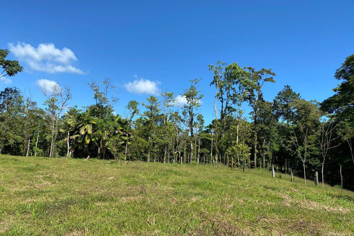 WhatsApp Image 2023-02-01 at 17.21.48